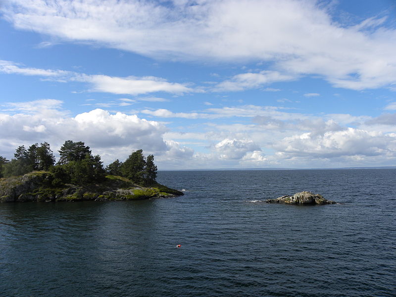 Rädda Vättern anmäler försvaret – bråket om PFAS trappas upp ...