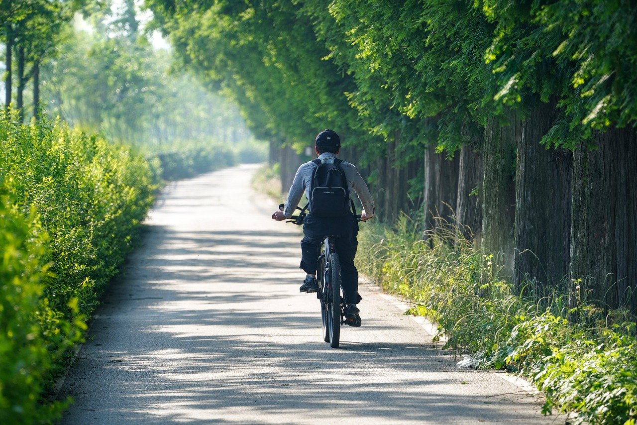 Ett grönt landskap, en person cyklar på en grusväg.