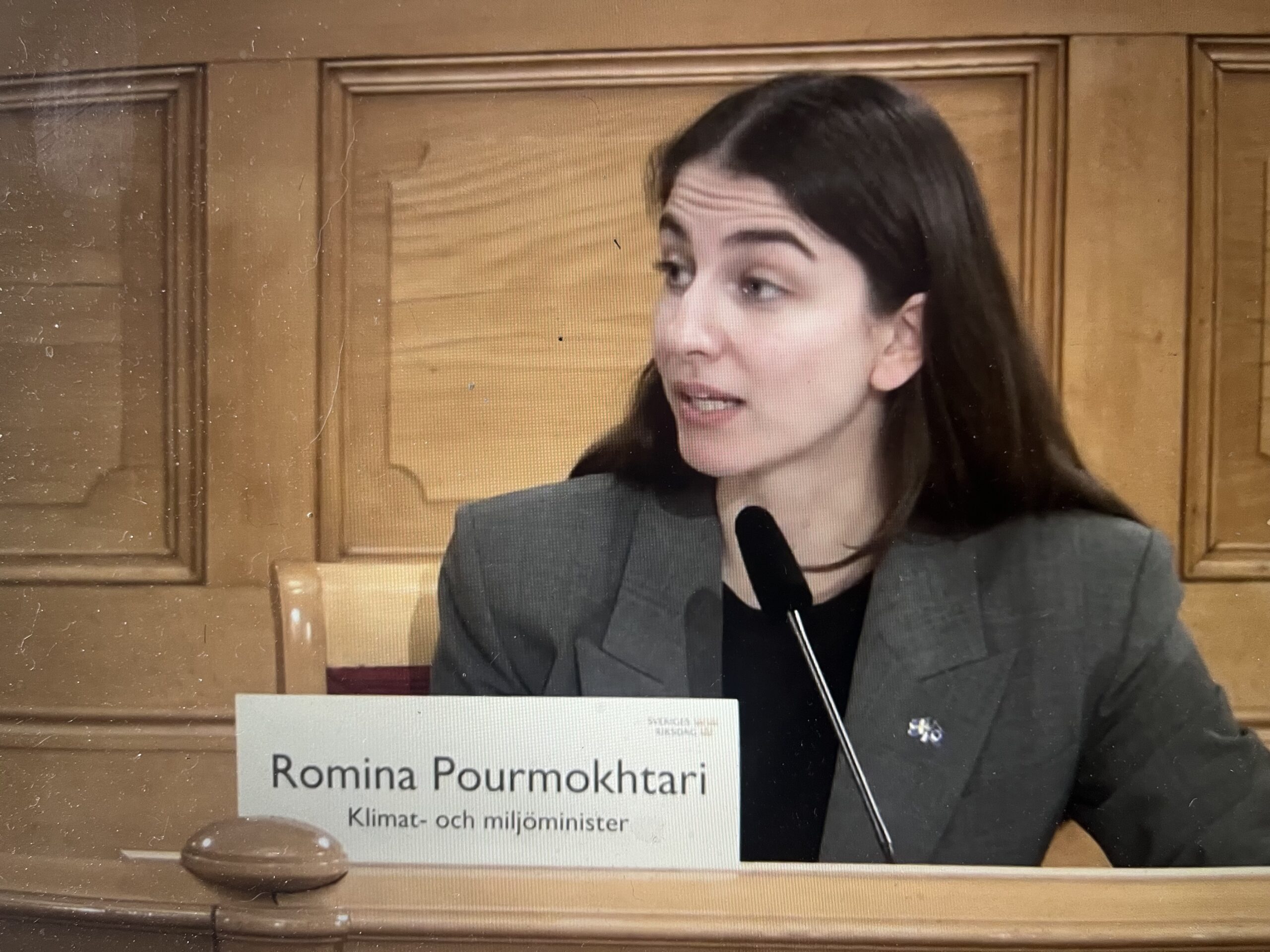 Bild på klimatminister Romina Pourmokthari (L)