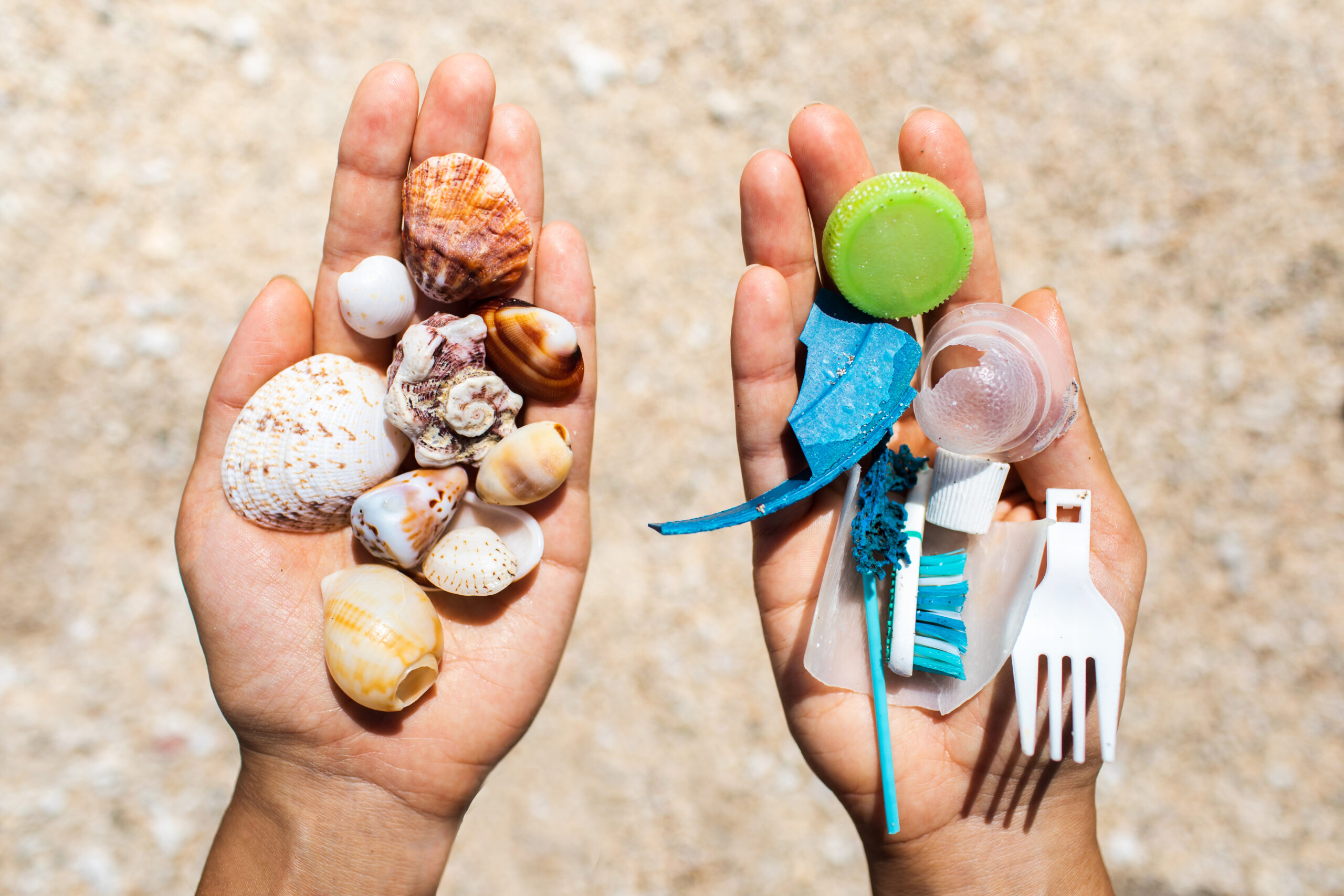 En hand med plastskräp och en hand med snäckor hålls ut över en sandstrand