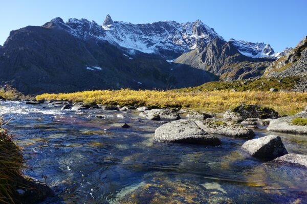 Kristallklar flod i Alaska